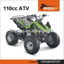 110cc мини сертификат CE Квадроциклы ATV КАВАСАКИ стиль